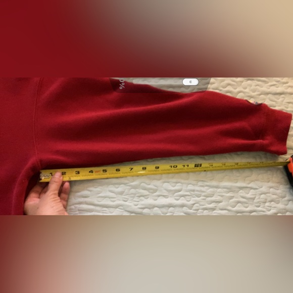 DISNEY CRUISE LINE TRANSATLANTIC UNISEX EMBROIDERED SWEATSHIRT - Picture 11 of 12